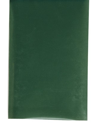 Prym Nylon Reparaturflicken 18 x 10 cm grün