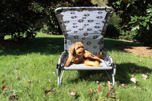 Disc-O-Bed Hundebett Small 52x69cm mit Sonnendach